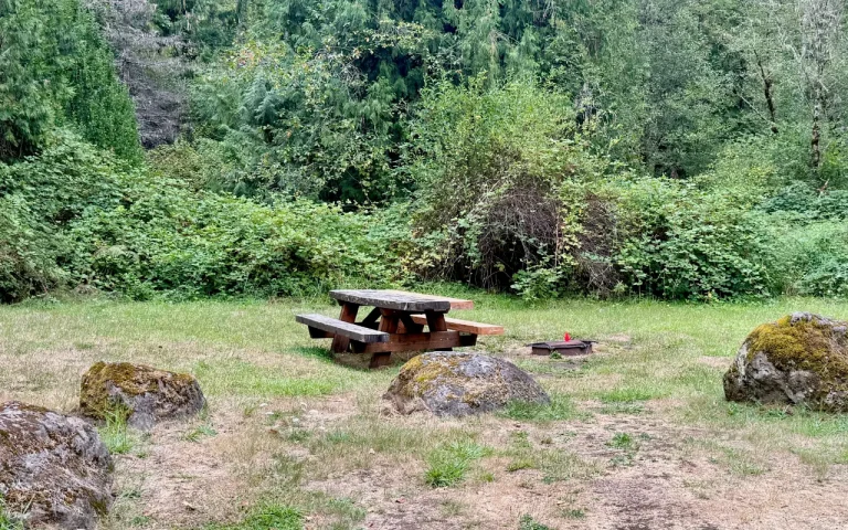 Cougar Crossing Campground campsites yable fire pit 768x480