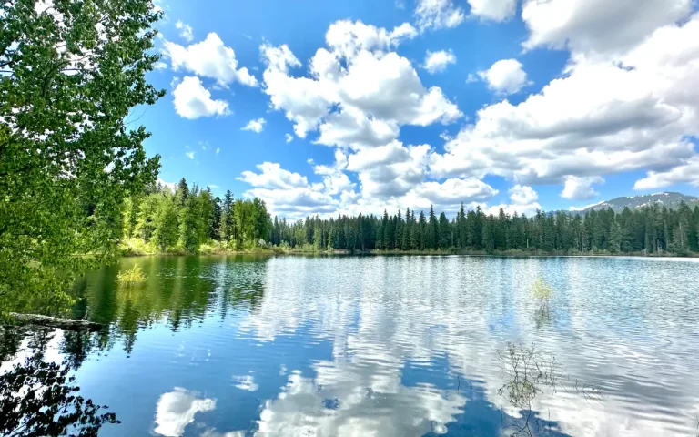 Fish Lake