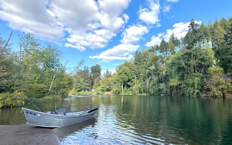Goodpasture Boat Landing McKenzie River view 768x480