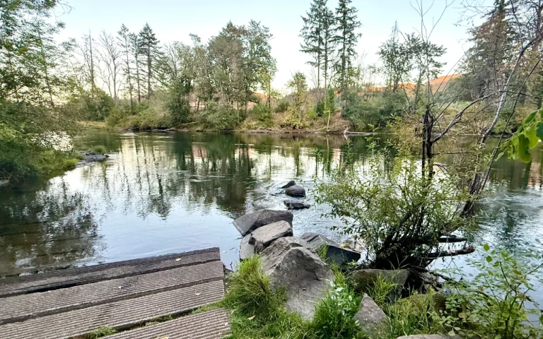 Greenwood Landing Boat Launch McKenzie River 768x480