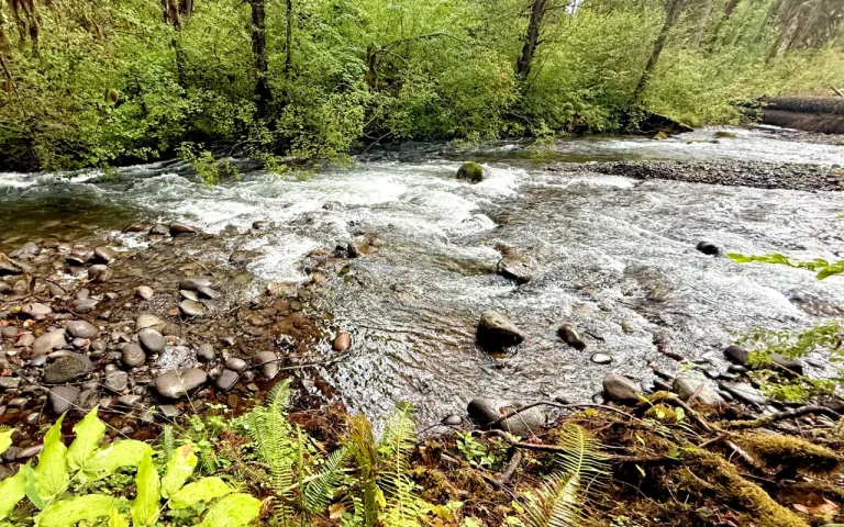 Horse Creek Group Campground horse creek 768x480