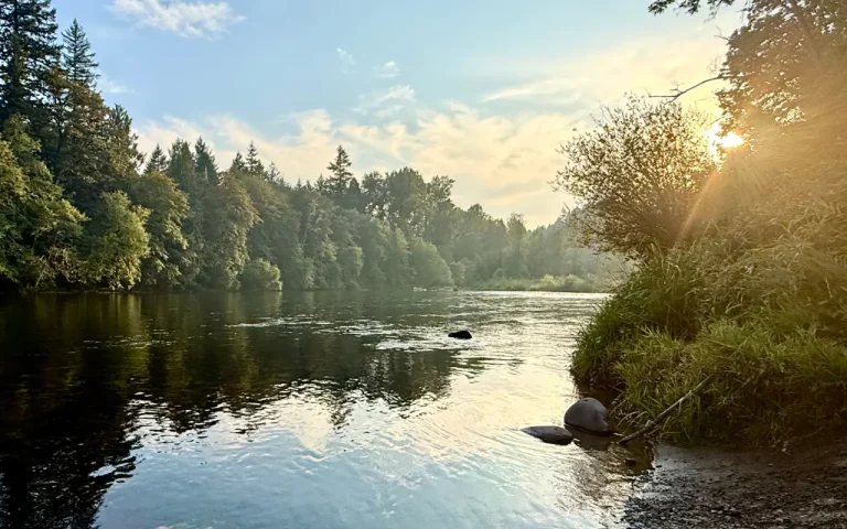 Leaburg Landing McKenzie River sunset 768x480