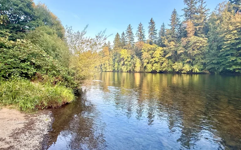 Leaburg Landing gravel boat launch 768x480