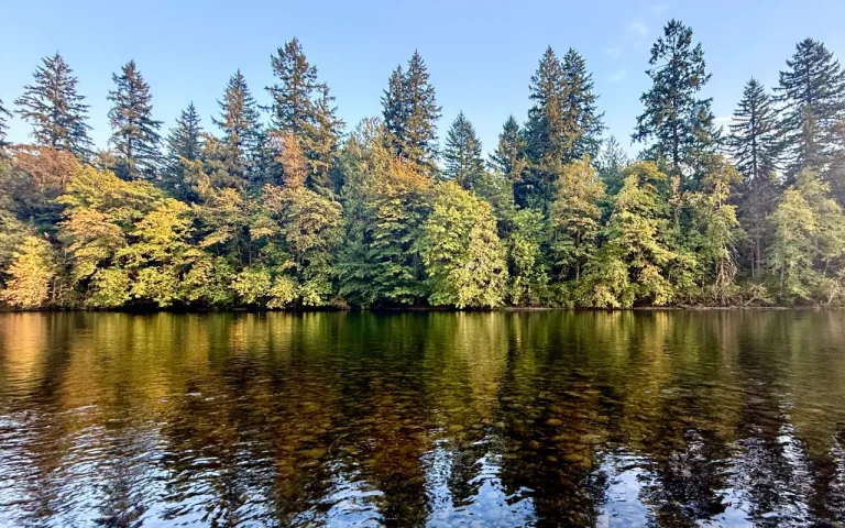 Leaburg Landing view McKenzie River 768x480