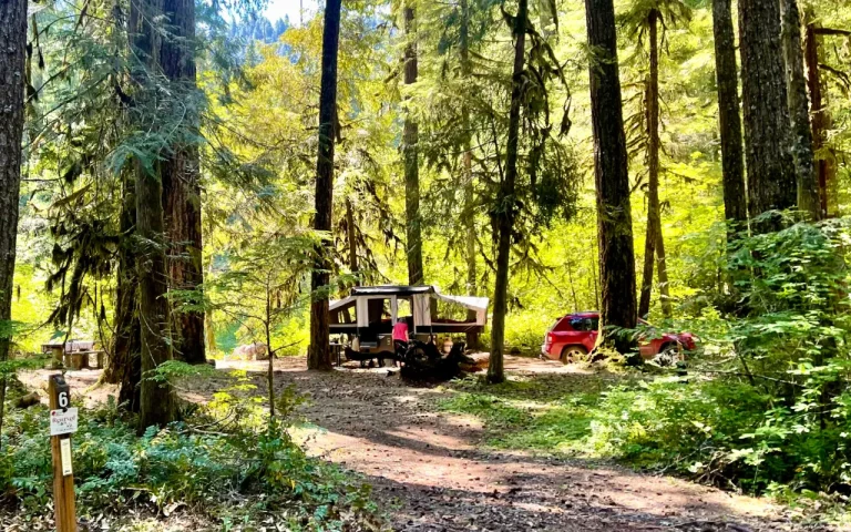 Limberlost Campground McKenzie River camping 768x480