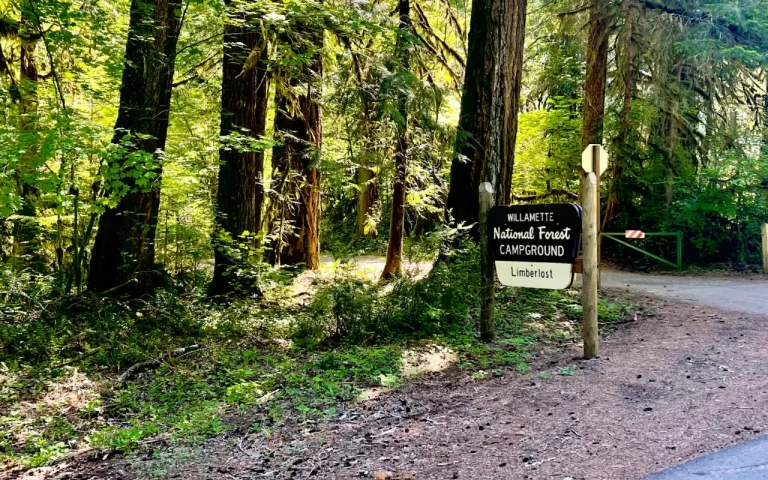 Limberlost Campground Willamette National Forest Entrance 768x480