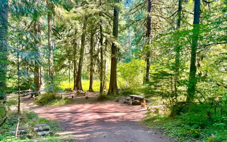 Limberlost Campground campsite McKenzie River Oregon 768x480