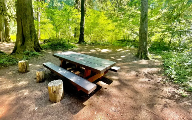 Limberlost Campground picnic table McKenzie River Oregon 768x480