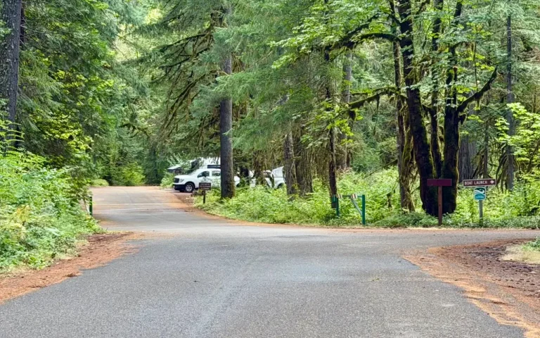 McKenzie Bridge boat launch parking Mike Kruse 768x480