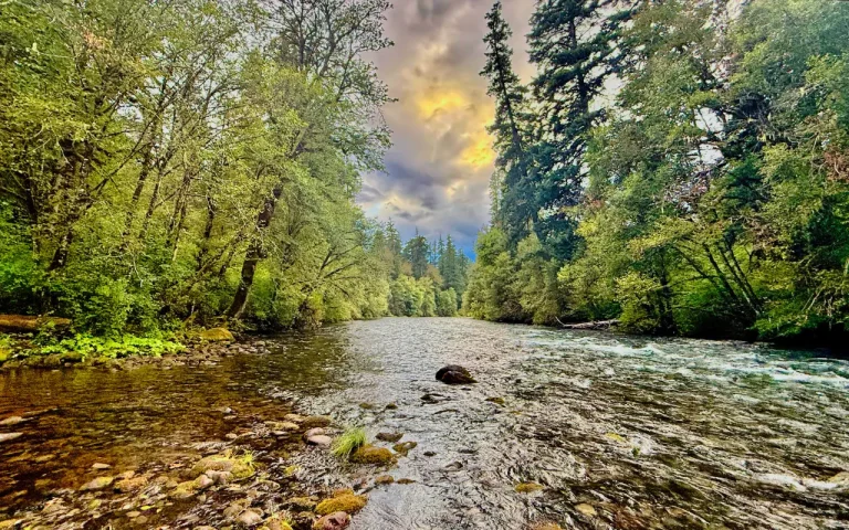 Paradise Campground Boat Lanch View by Chris LaVoie 768x480
