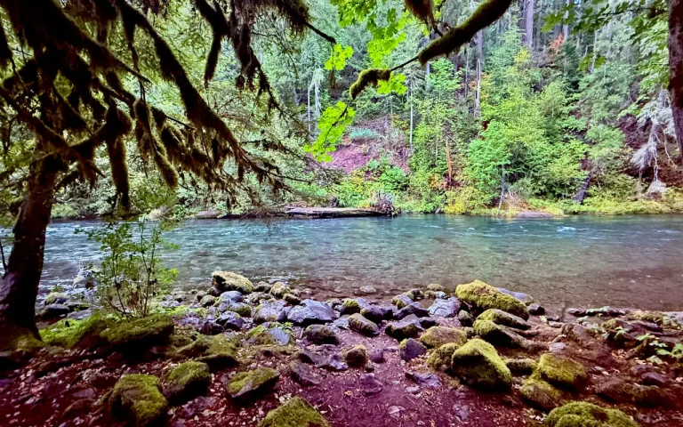 Paradise Campground McKenzie River campsite river view 768x480
