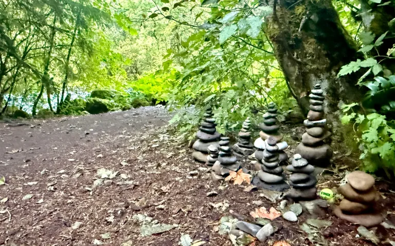 Paradise Campground McKenzie River campsite syacked rocks 1 768x480
