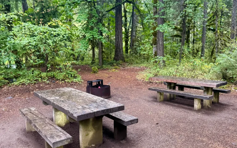 Paradise Campground McKenzie River campsite tables 1 768x480
