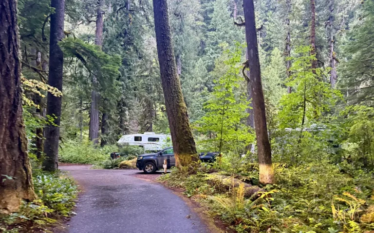 Paradise Campground McKenzie River campsites 768x480