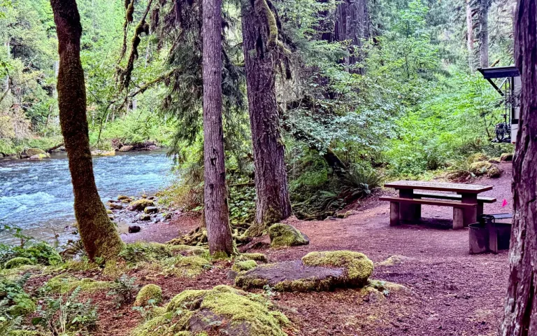 Paradise Campground McKenzie River riverside campsite 53 1 768x480