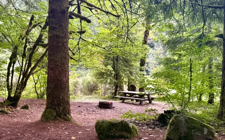 Slide Creek Campground campsite 768x480